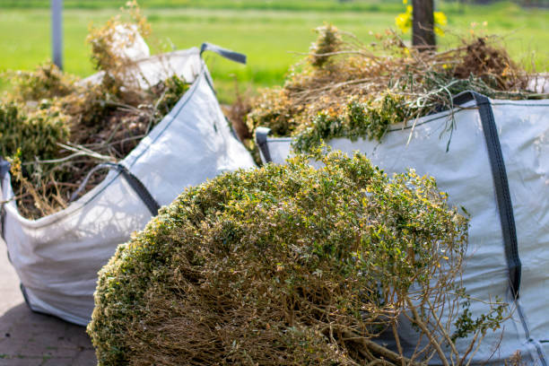  Hokes Bluff, AL Junk Removal Pros